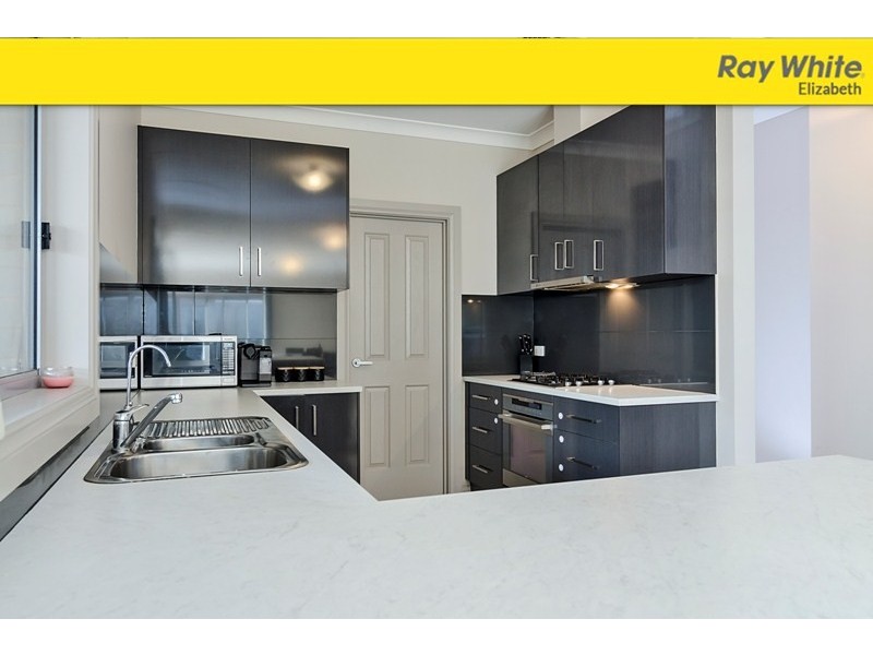 16 Teviot Place, Blakeview SA 5114
