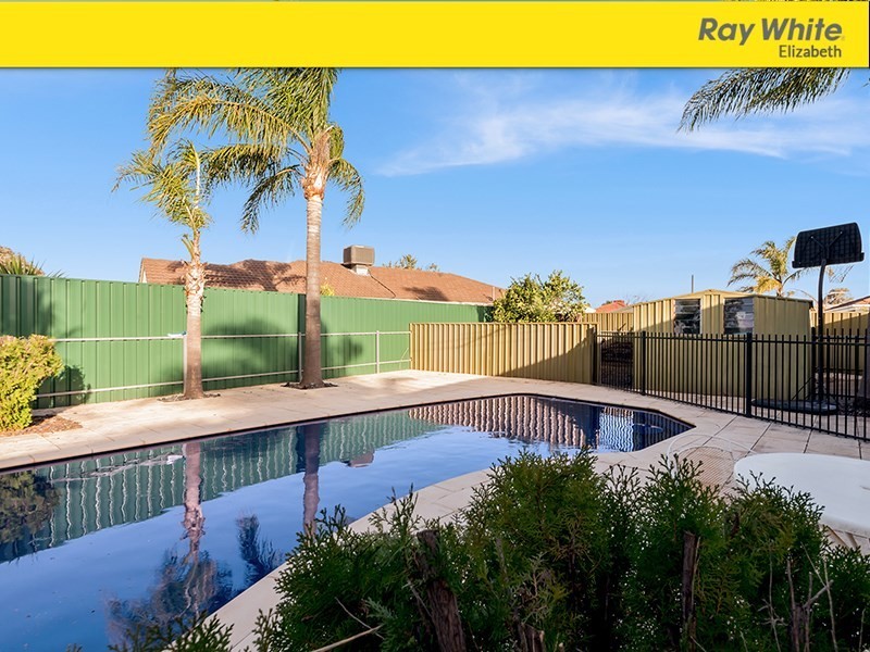 1 Grace Avenue, Andrews Farm SA 5114