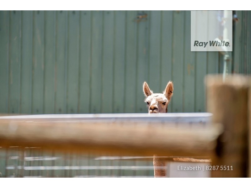 432 Medlow Road, One Tree Hill SA 5114