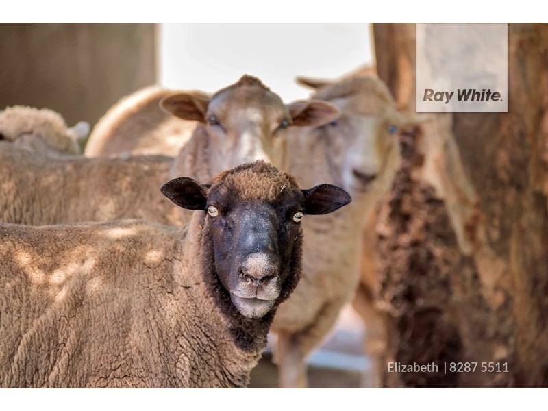 432 Medlow Road, One Tree Hill SA 5114