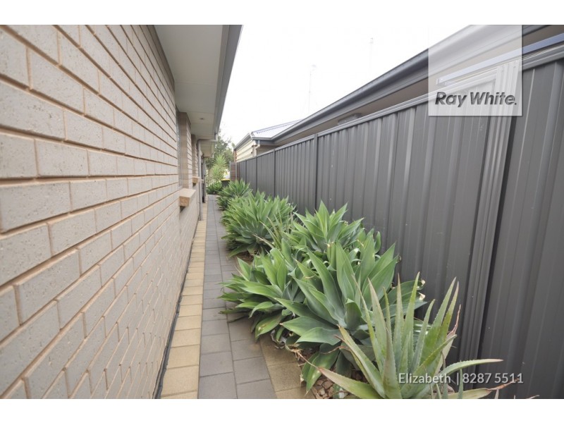 36 St Germain Avenue, Andrews Farm SA 5114