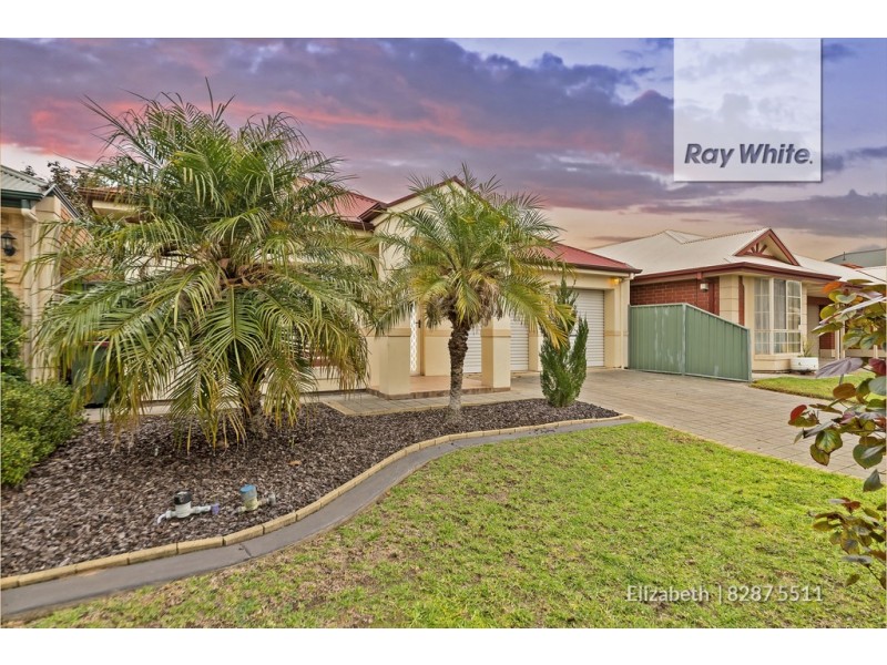 17 Heron Walk, Mawson Lakes SA 5095
