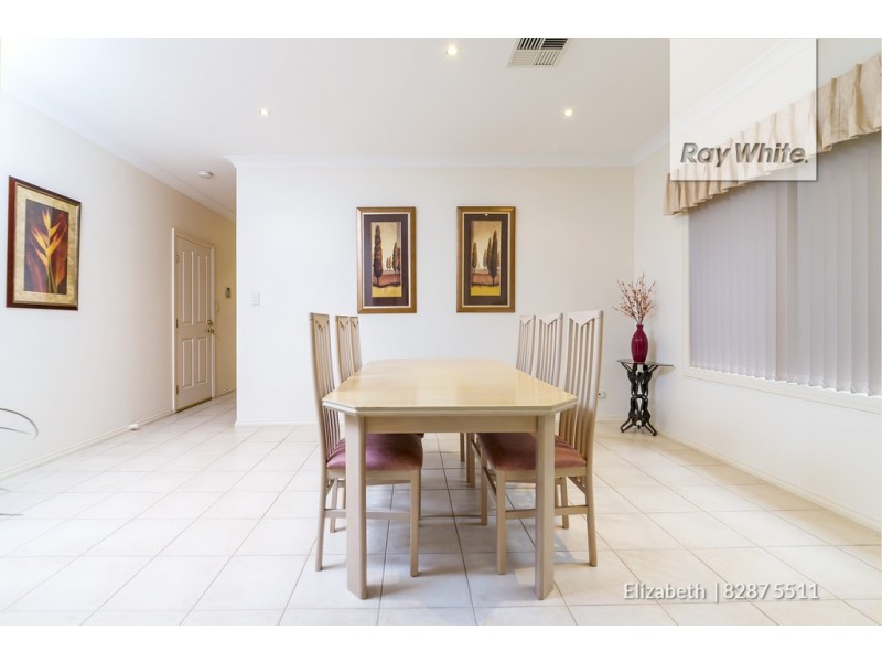 17 Heron Walk, Mawson Lakes SA 5095