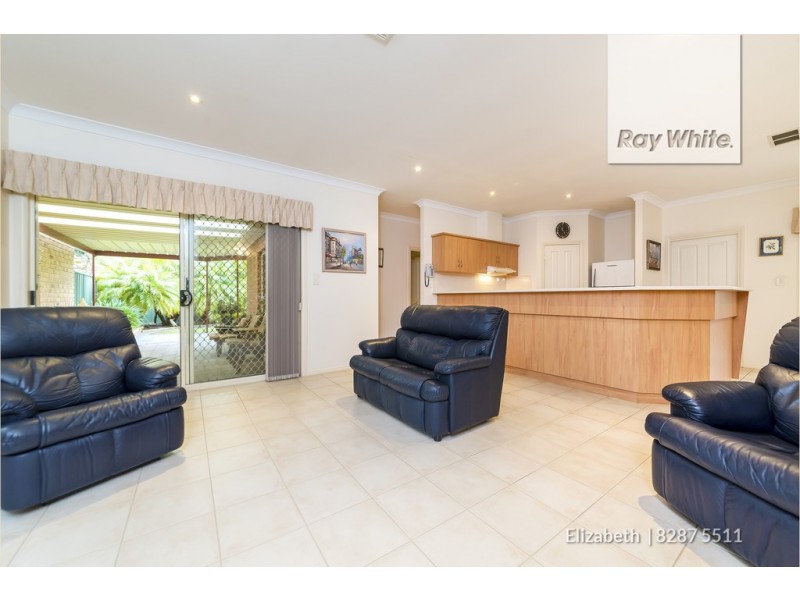 17 Heron Walk, Mawson Lakes SA 5095
