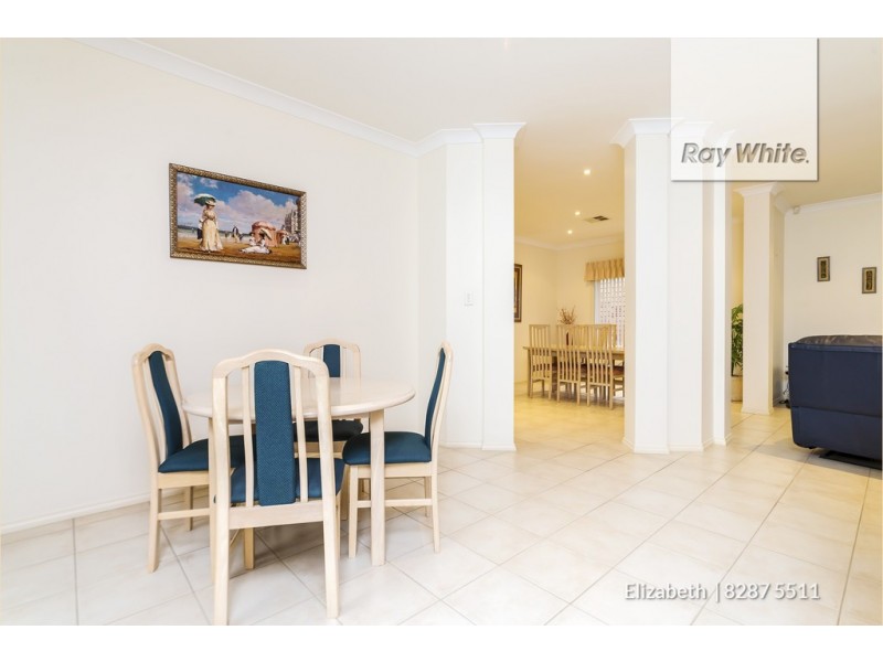 17 Heron Walk, Mawson Lakes SA 5095