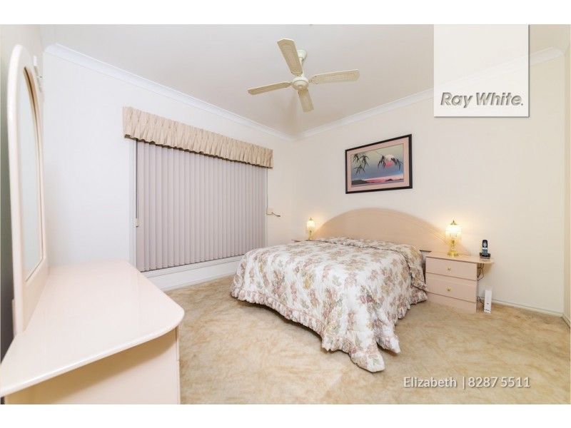 17 Heron Walk, Mawson Lakes SA 5095