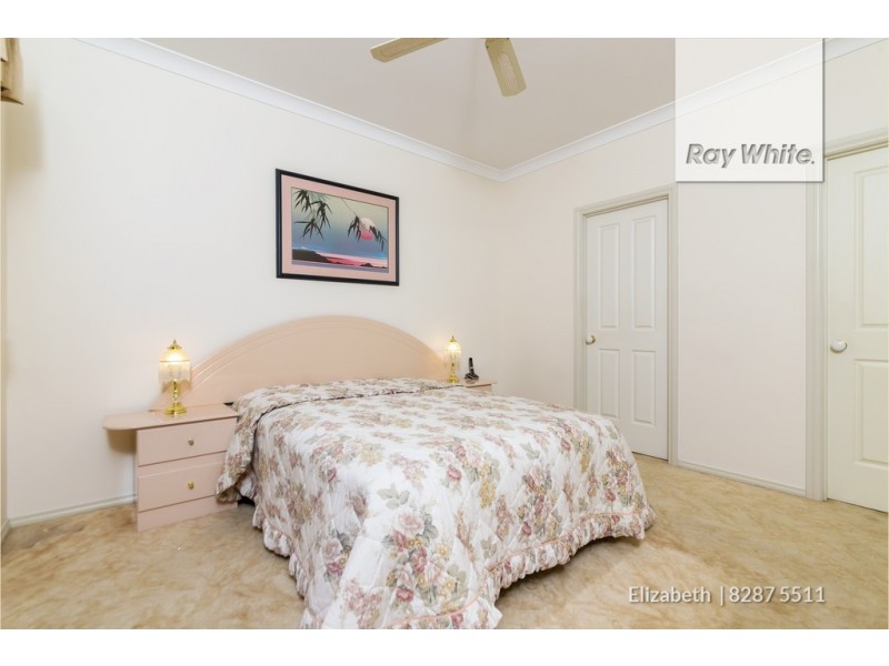 17 Heron Walk, Mawson Lakes SA 5095