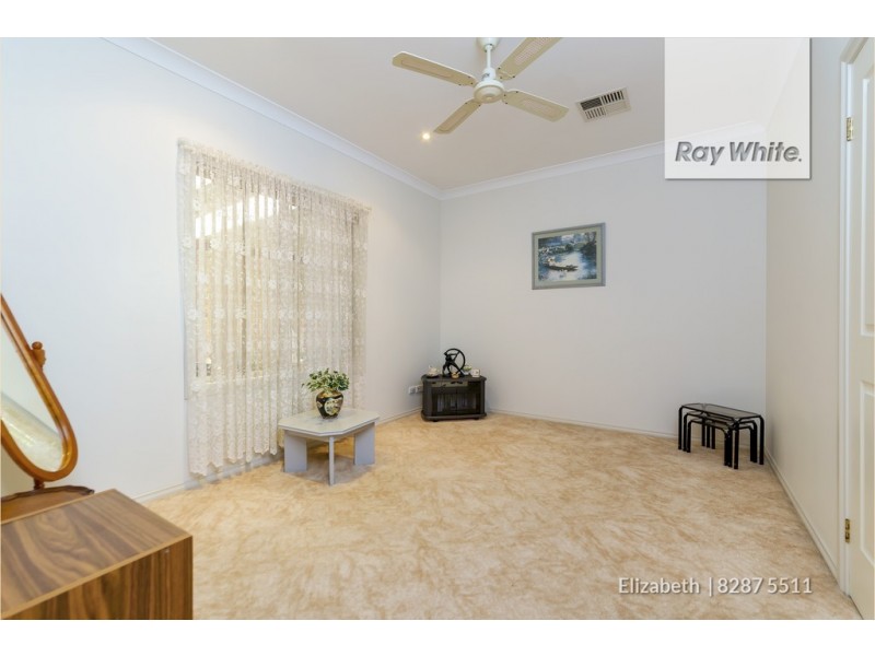 17 Heron Walk, Mawson Lakes SA 5095