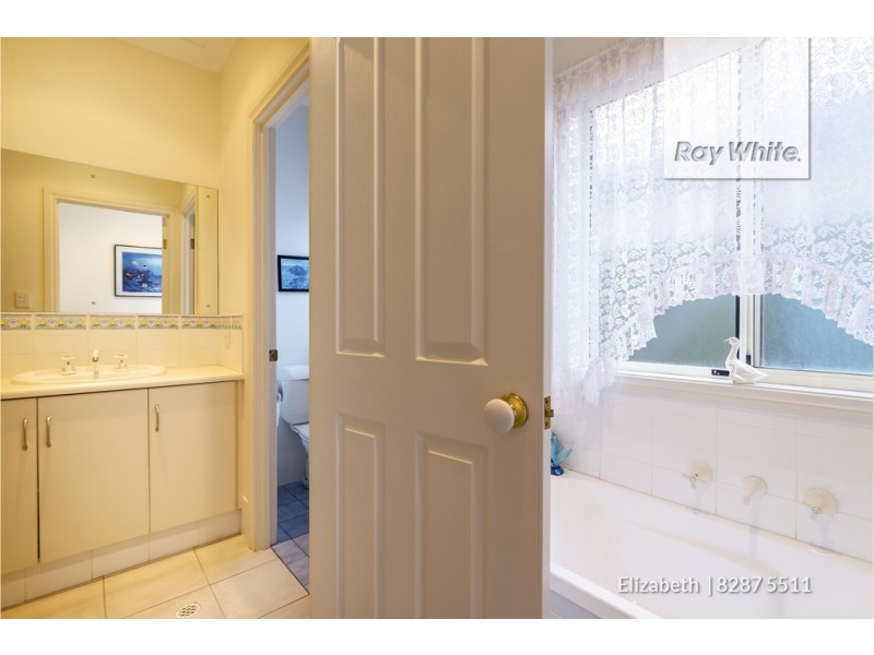 17 Heron Walk, Mawson Lakes SA 5095