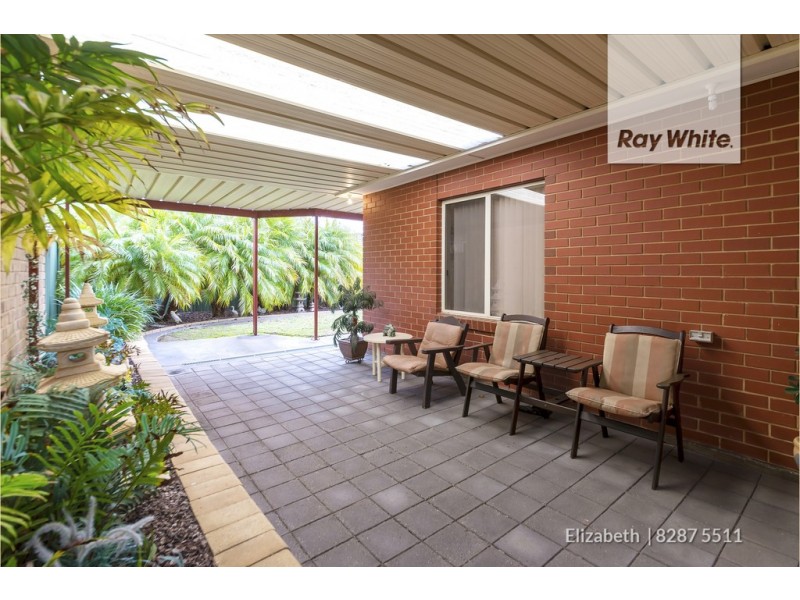 17 Heron Walk, Mawson Lakes SA 5095