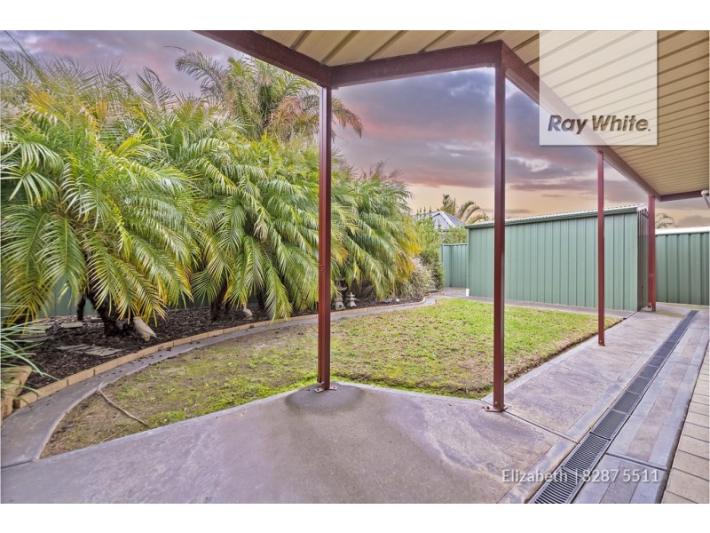 17 Heron Walk, Mawson Lakes SA 5095