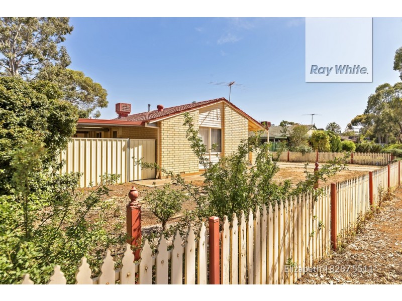 5 Alawoona Road, Munno Para SA 5115