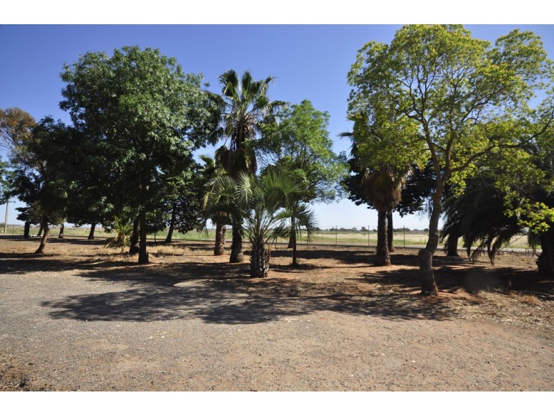 29 Lovey Road, Penfield SA 5121