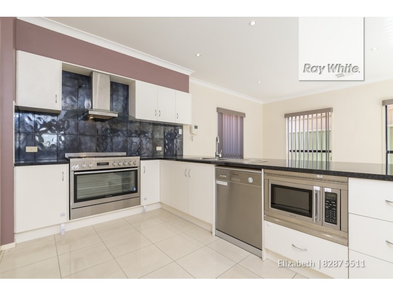 134 Sanctuary Drive, Mawson Lakes SA 5095