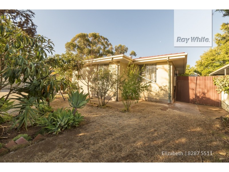 55 Campbell Road, Elizabeth Downs SA 5113