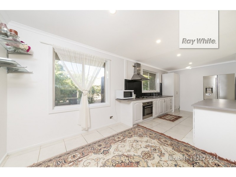 55 Campbell Road, Elizabeth Downs SA 5113