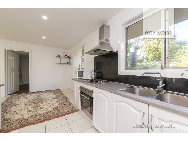 55 Campbell Road, Elizabeth Downs SA 5113