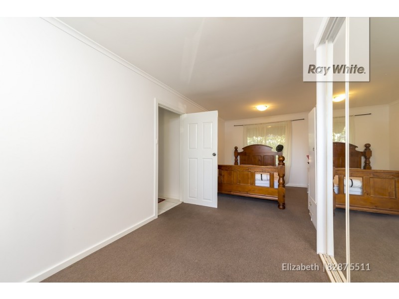 55 Campbell Road, Elizabeth Downs SA 5113