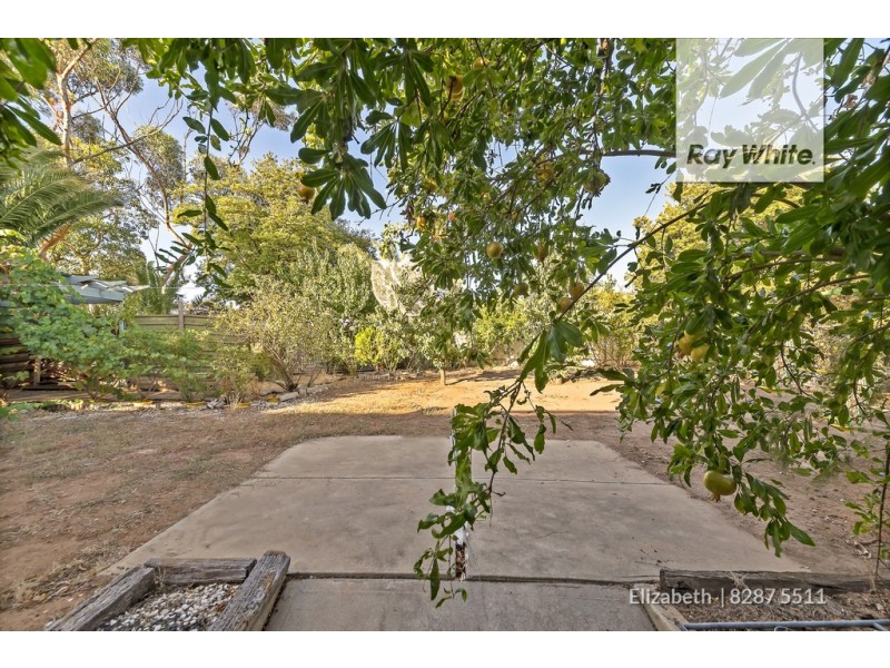 55 Campbell Road, Elizabeth Downs SA 5113
