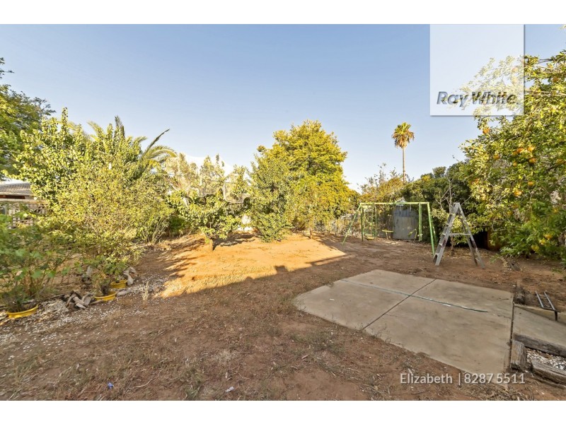 55 Campbell Road, Elizabeth Downs SA 5113