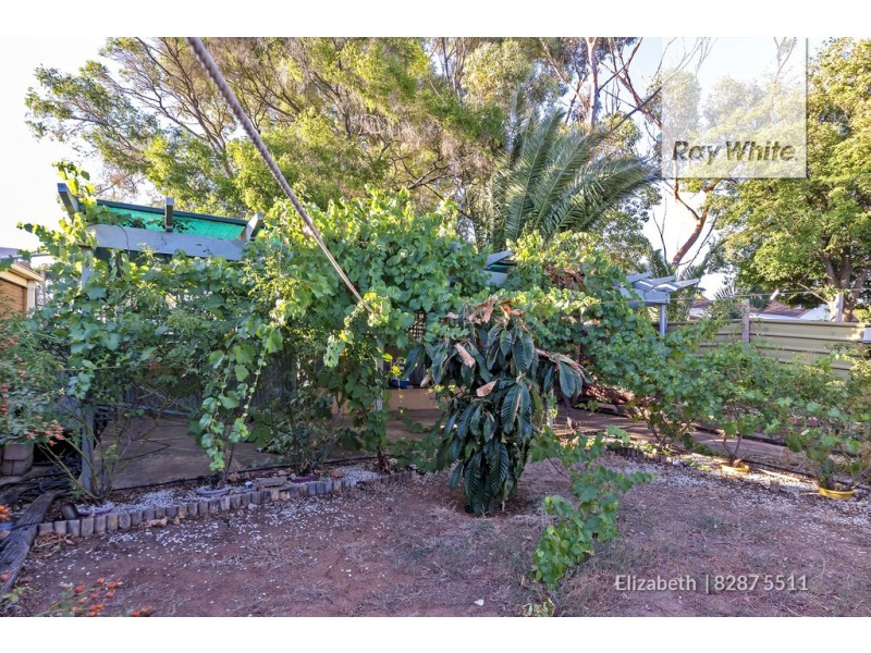 55 Campbell Road, Elizabeth Downs SA 5113