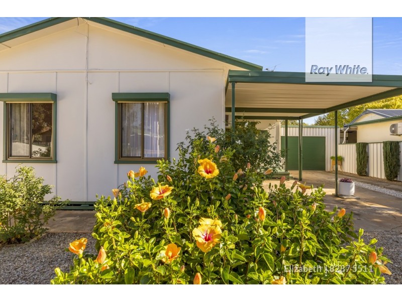 16 Grayling Street, Elizabeth East SA 5112