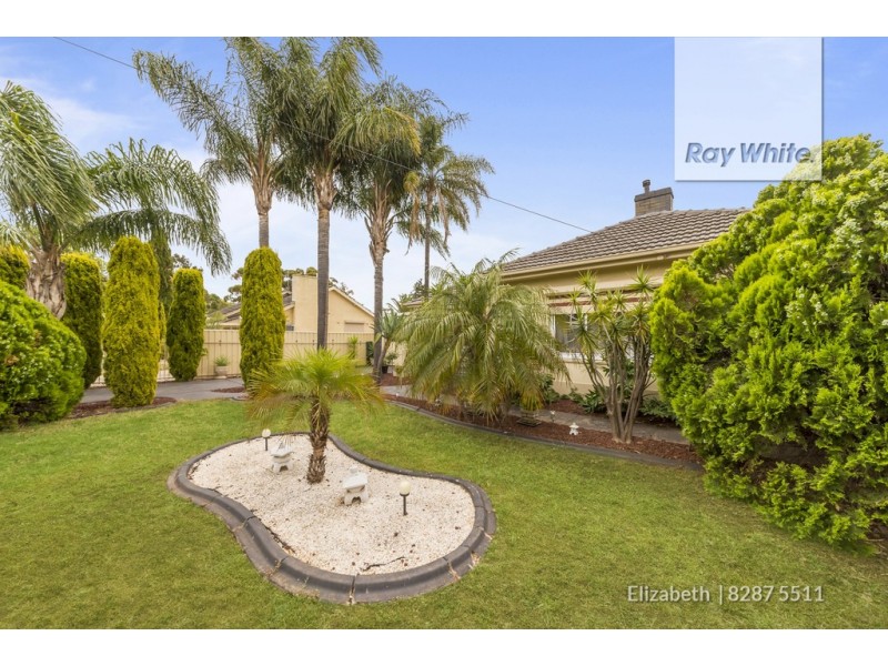 20 Argent Street, Elizabeth Grove SA 5112