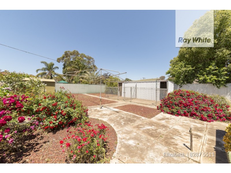 18 Horton Street, Elizabeth Park SA 5113