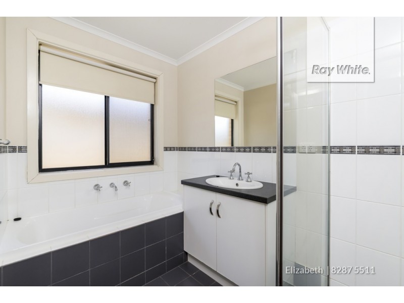 43 Gunther Street, Elizabeth Grove SA 5112