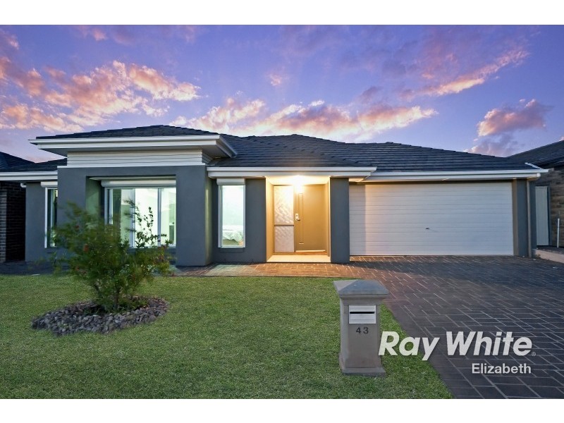 43 Arcadia Drive, Smithfield SA 5114