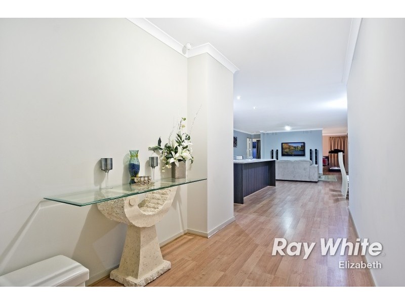 43 Arcadia Drive, Smithfield SA 5114