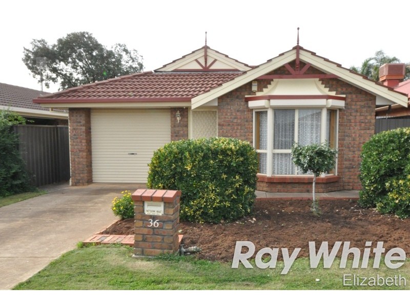 36 Parkview Drive, Blakeview SA 5114