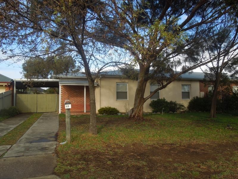 12 Fyfield Street, Elizabeth SA 5112