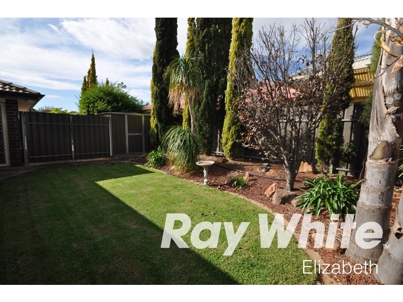 8 Cinnamon Grove, Blakeview SA 5114