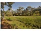 Lot. 25 Toolunga Road, Yattalunga SA 5114