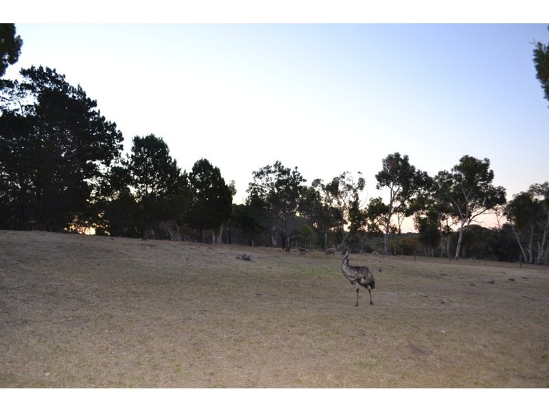 Lot 153 Gottwald Road, Williamstown SA 5351