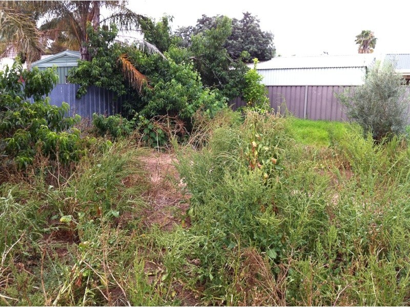 39 Caloundra Drive, Paralowie SA 5108