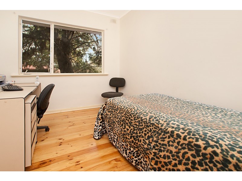 22 Tatiara Drive, Banksia Park SA 5091