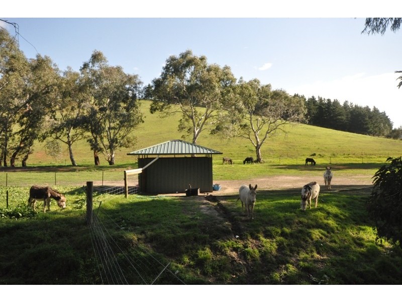 Lot 25 Toolunga Road, One Tree Hill SA 5114