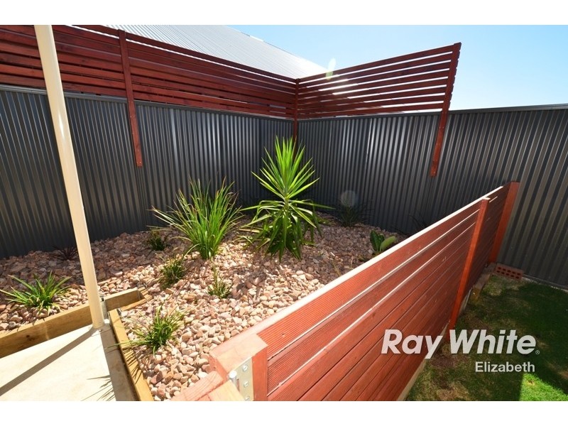 43 Swinden Crescent, Blakeview SA 5114