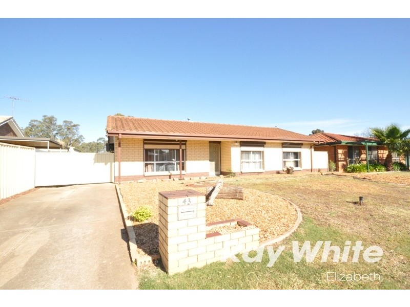 43 Carabeen Crescent, Andrews Farm SA 5114