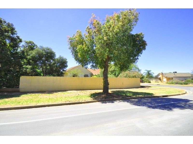 12 Hamblynn Road, Elizabeth Downs SA 5113