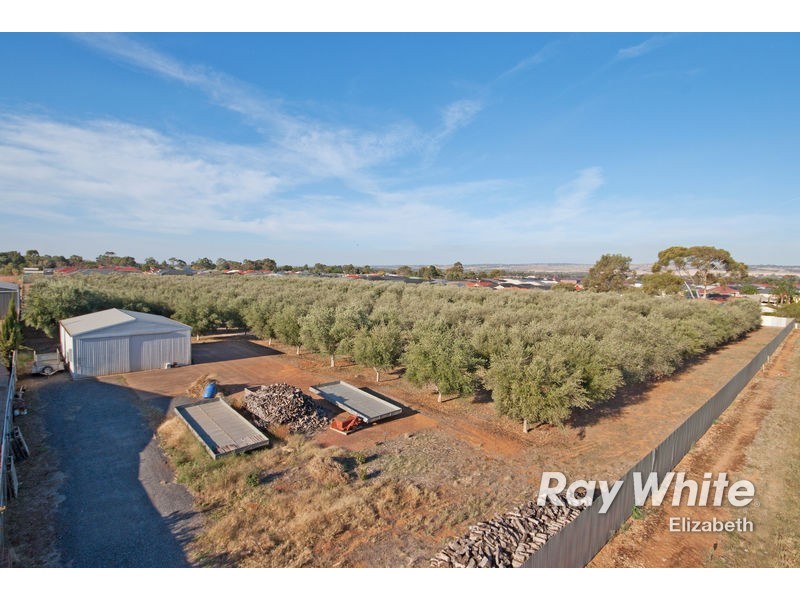 94. Peerless Road, Munno Para West SA 5115
