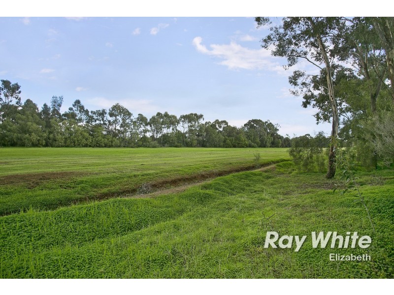 1 Rhus Avenue, Parafield Gardens SA 5107