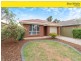 19 Sharrad Crt, Andrews Farm SA 5114