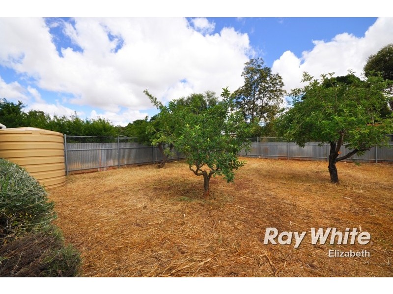 31 Bloomfield Crescent, Elizabeth Downs SA 5113