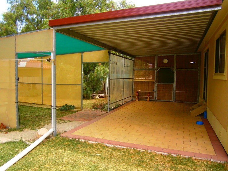 35 Carabeen Crescent, Andrews Farm SA 5114