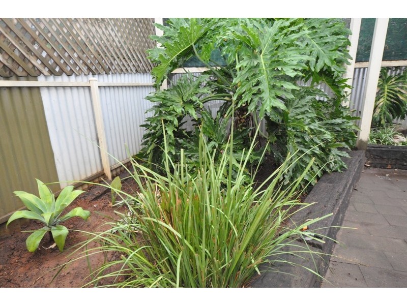 2 Tulip Court, Parafield Gardens SA 5107