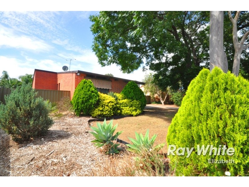 95 Mckenzie Road, Elizabeth Downs SA 5113