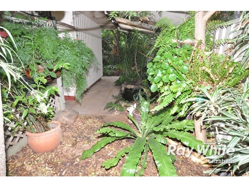 38 Minchington Road, Elizabeth North SA 5113